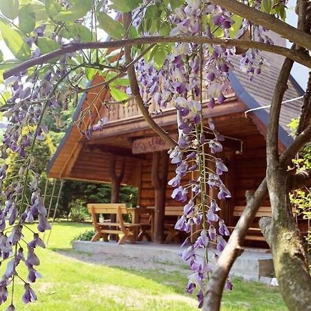 U Leona Villa Gorlice Dış mekan fotoğraf
